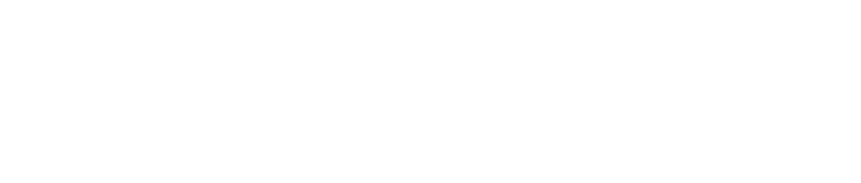 Firmenname